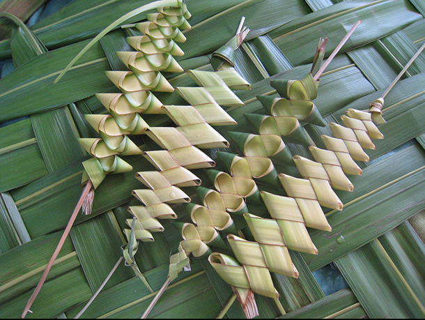 Palm Leaf Weaving